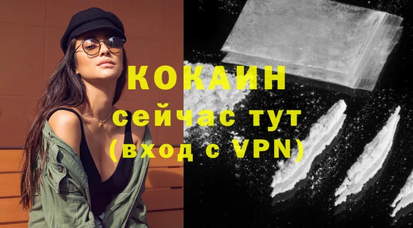 тгк Новодвинск