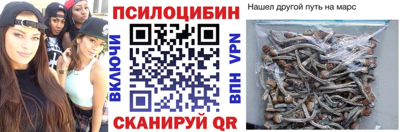 Галлюциногенные грибы Psilocybine cubensis  Алагир 